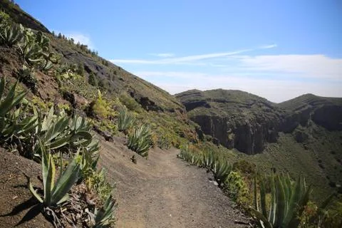 A trekking path surrounded by mountains and vegetation on a sunny day Stock Photos