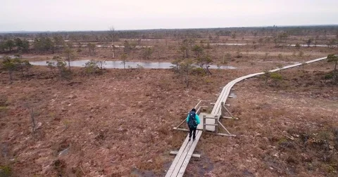Trekking (running) on boardwalk in big swamp wetlands 動画素材 84792102