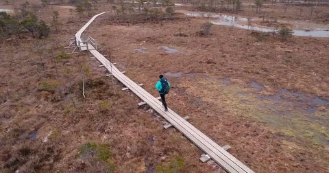 Trekking (running) on boardwalk in big swamp wetlands Stock Footage 84792113