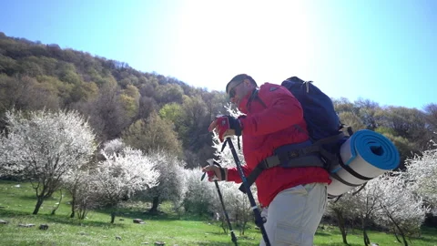 Trekking Through Blossoming Forest Video stock 303661876