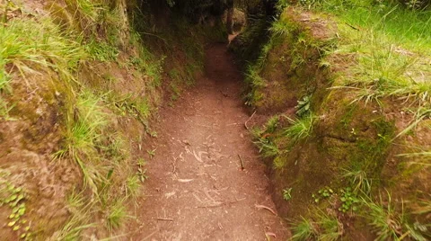 Trekking through a Ravine Stock Footage 60427421