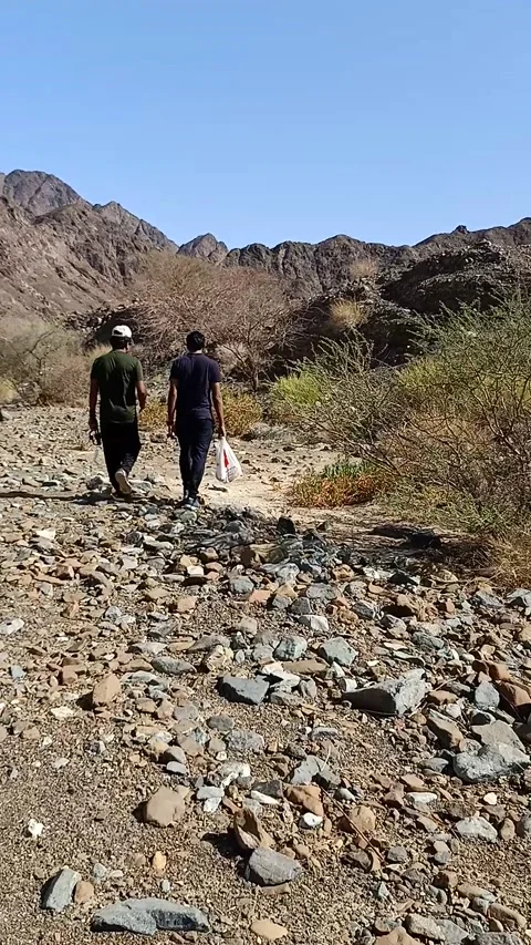 Trekking to the top of mountain Stock Footage 161091391