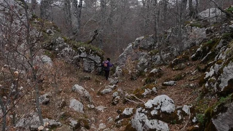 Trekking in the woods Stock Footage 75756014