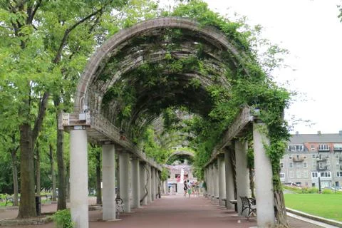 Trellis Covered Pathway 스톡 사진