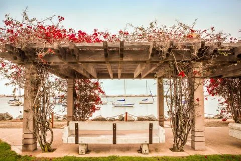 Trellis san diego Stock Photos