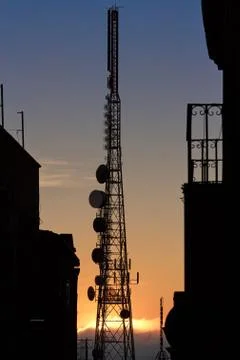 Trellis tv Stock Photos