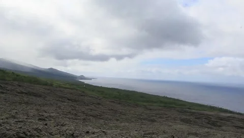 Tremblet Stock Footage 315902650