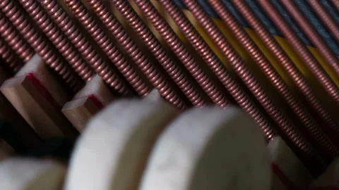 Trembling of Piano Strings HD Pro Stock-Footage 95824328