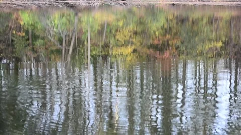 Trembling on the pond surface 動画素材 140811928