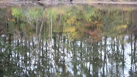 Trembling reflection Video stock 140811763