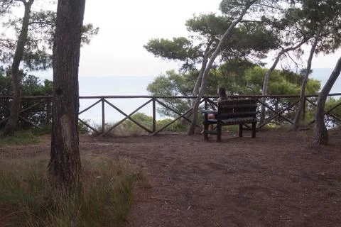 Tremiti Stock Photos