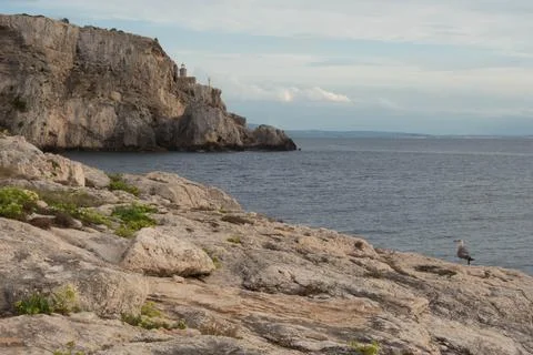 Tremiti Stock Photos