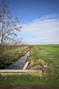 Trench and a tree Stock Photos