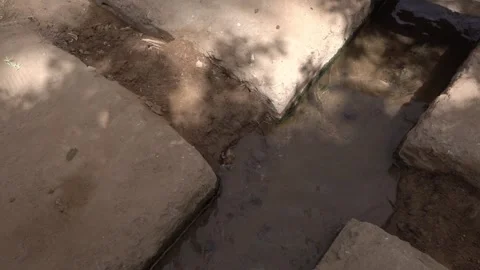 A trench dug directly into the ground to allow water to flow and be distributed! Vídeo Stock 321945543