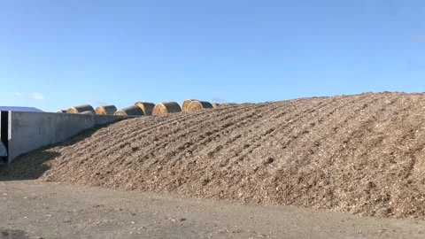 Trenches for silage harvesting. Stock Footage 231742931