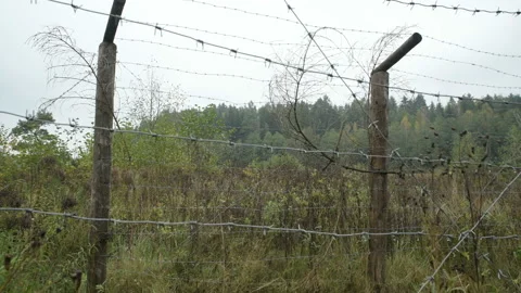 Trenches tower barbed wire war USSR Belarus WW2 Stock Footage 145420918