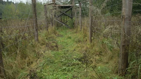 Trenches tower barbed wire war USSR Belarus WW2 Stock Footage 145424550