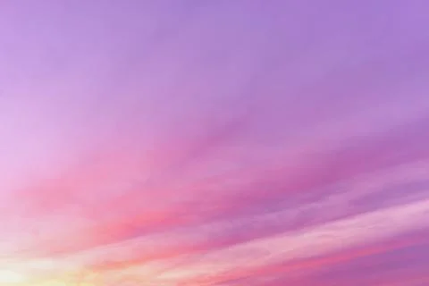 Trend color background 스톡 사진