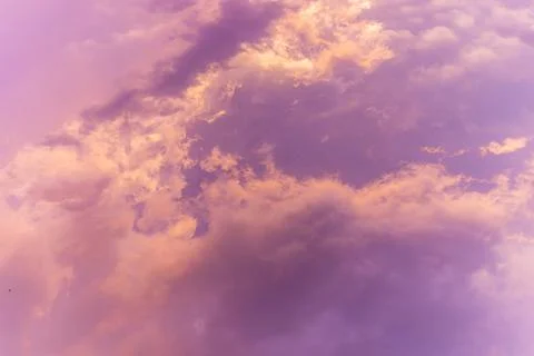 Trend color background Stock Photos