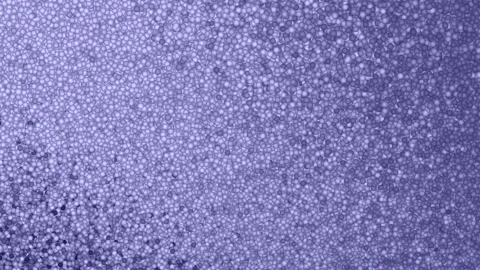 Trend color particles background Stock-Footage 166707322