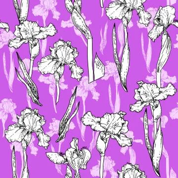 Trend violet flowers Illustrazione stock