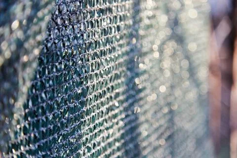 Trendy abstract background or texture with bokeh effect and light. Place for Stock Photos