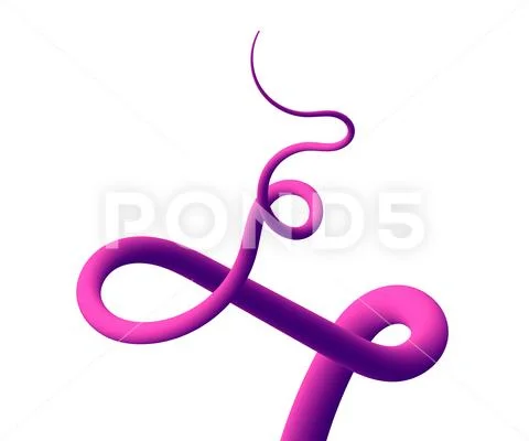 Trendy abstract colorful liquid shape, fluid element with pink gradient wave Stock Illustration