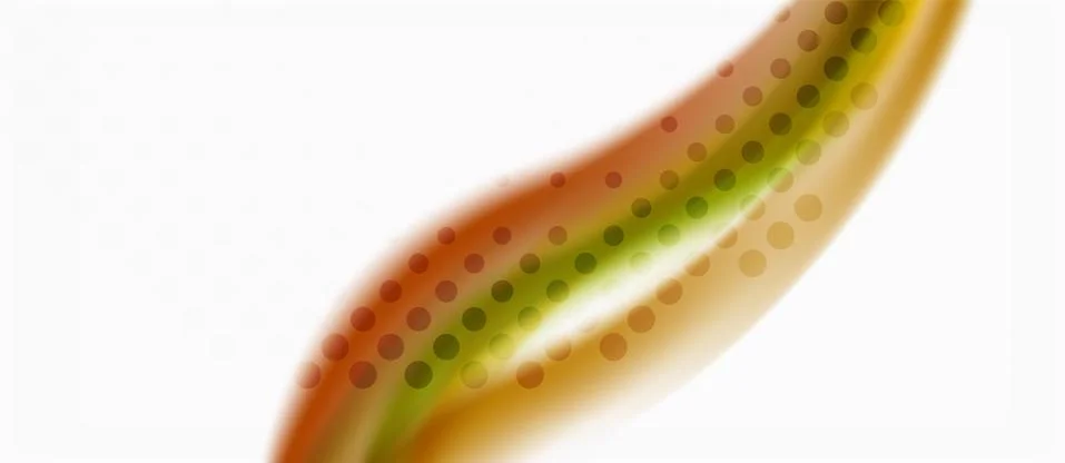 Trendy abstract wave blur pattern, multicolored lines on white background for Illustrazione stock