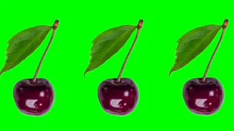 Trendy berry animation background of many moving red cherries with leaf on Stock Footage 244488907