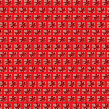 Trendy colorful repeating pattern of gift boxes with red bow on red background Stock Photos