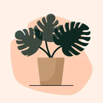 Trendy composition monstera plant in pot Stock Illustration