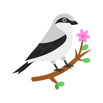 Trendy flat vector asset of northern shrike perched on branch. Illustration