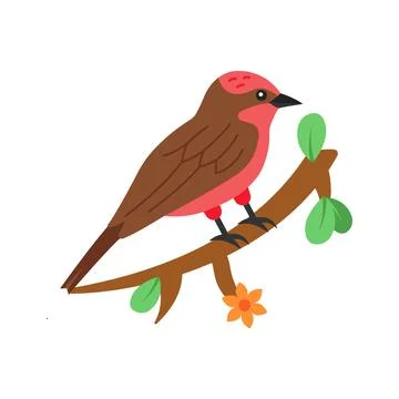 Trendy flat vector of small flycatcher bird asset. Stock Illustration