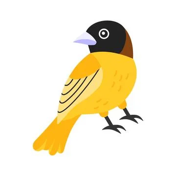 Trendy flat vector of yellow baya weaver bird ready to use. Stock Illustration