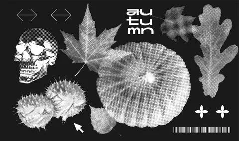Trendy grungy set of autumn elements with a retro negative photocopy effect Illustrazione stock