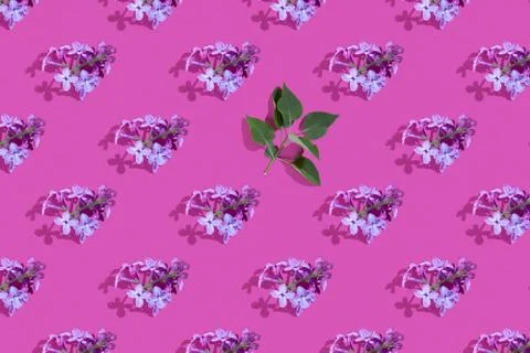 Trendy isometric Seamless continuous pattern with spring lilac flowers and le Stock Photos
