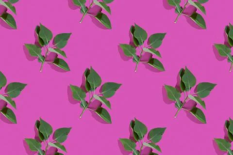 Trendy isometric Seamless continuous pattern with spring lilac leaf. Minimali Foto stock