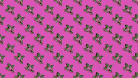 Trendy isometric Seamless continuous pattern with spring lilac leaf. Minimali Foto stock