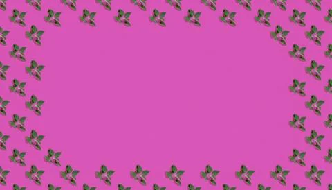 Trendy isometric Seamless continuous pattern with spring lilac leaf. Minimali Stock Photos