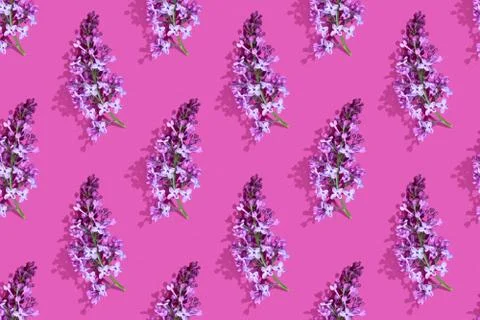 Trendy isometric Seamless continuous pattern with spring lilac flowers and leaf Stock Photos