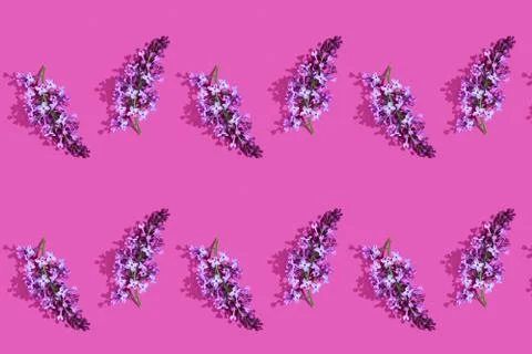 Trendy isometric Seamless continuous pattern with spring lilac flowers and leaf Stock Photos