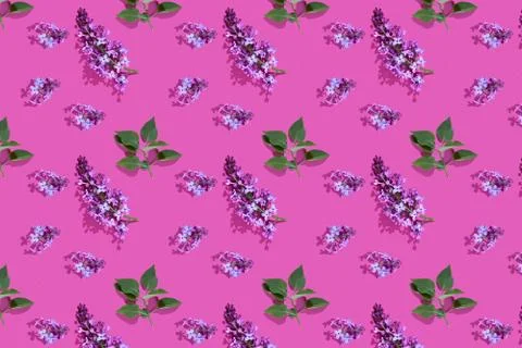 Trendy isometric Seamless continuous pattern with spring lilac flowers and leaf Stock Photos