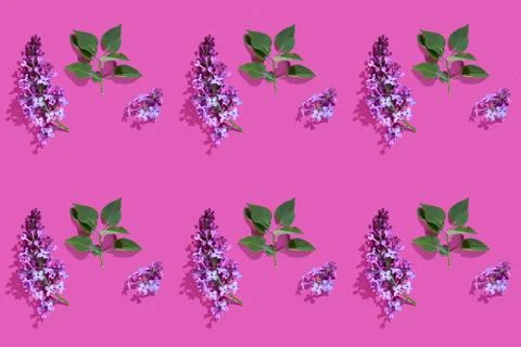 Trendy isometric Seamless continuous pattern with spring lilac flowers and leaf Stock Photos