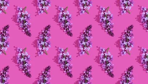 Trendy isometric Seamless continuous pattern with spring lilac flowers and leaf Stock Photos
