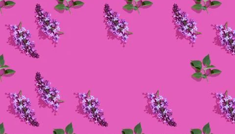 Trendy isometric Seamless continuous pattern with spring lilac flowers and leaf Stock Photos