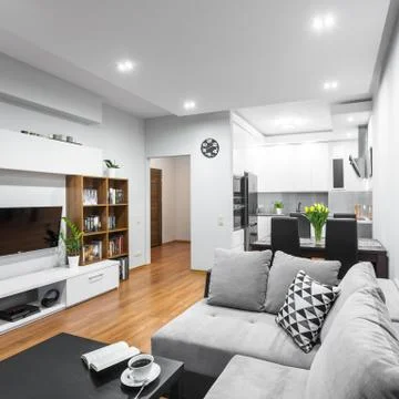 Trendy open floor plan idea Foto stock