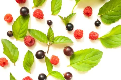 Trendy pattern with raspberries and mint and blackcurrant like background Foto stock