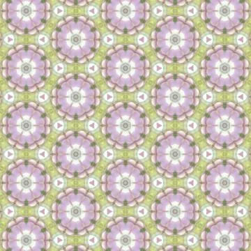 Trendy seamless Floral Pattern background. geometric intersecting striped ill 스톡 일러스트
