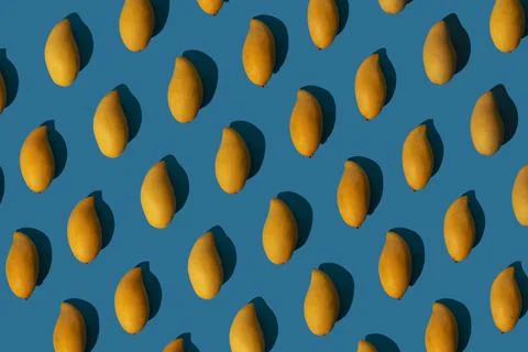 Trendy sunlight summer pattern made with yellow mango on bright light blue Stock Photos