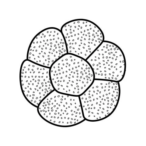 Trendy vector design for bakery or cafe. Illustration bread sun for packaging Illustrazione stock